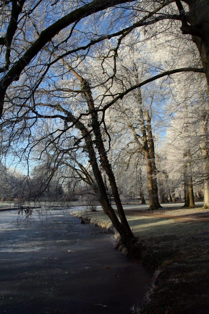 Nog winters