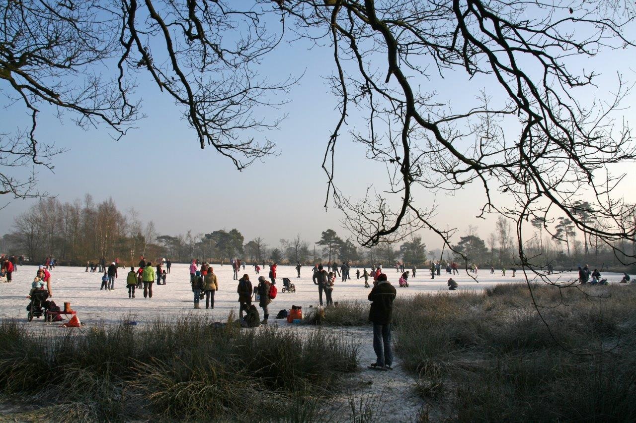 Leersemse veld