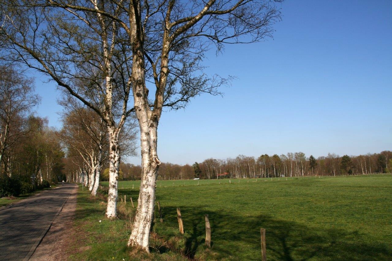 Berken