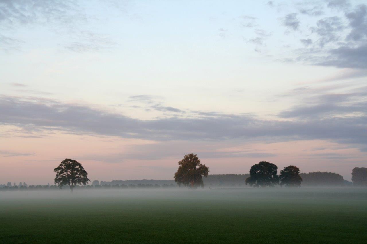 Mist