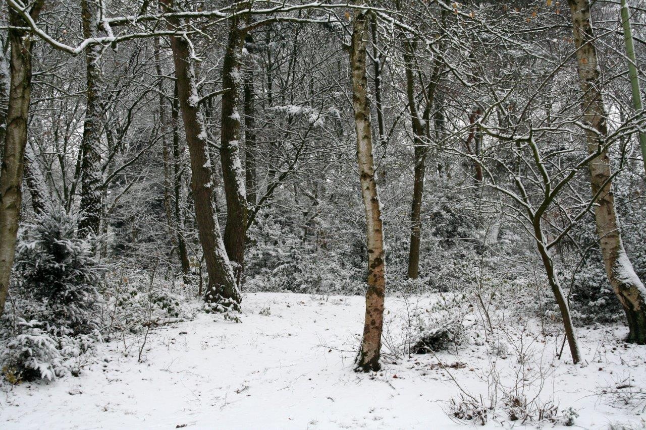 Sneeuw