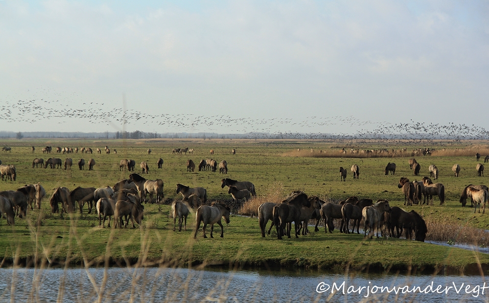 Je kijkt je ogen uit