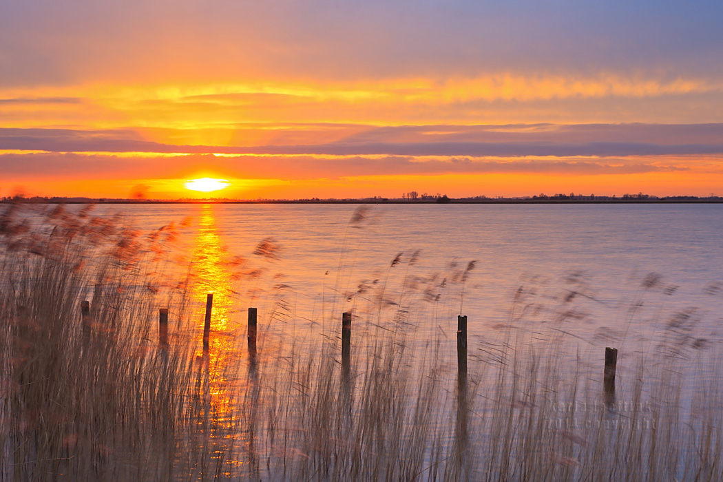 wie op zoek is naar het licht zal ook wel een weg vinden