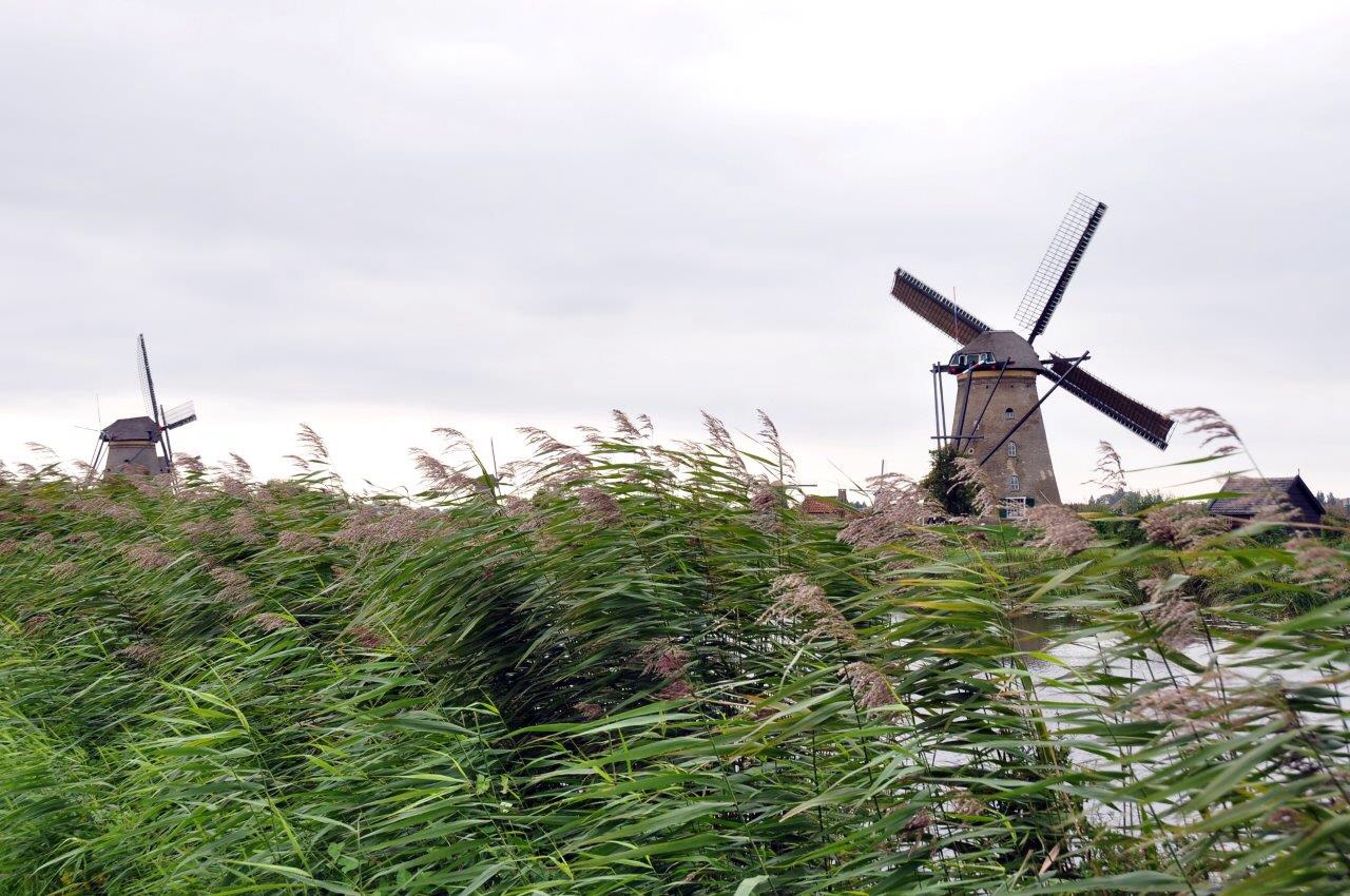 Molen