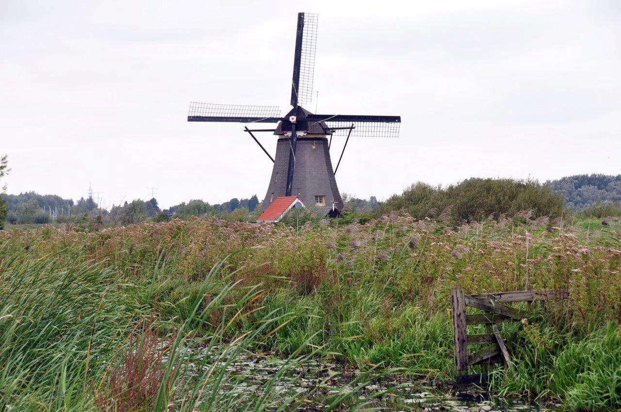 Molen