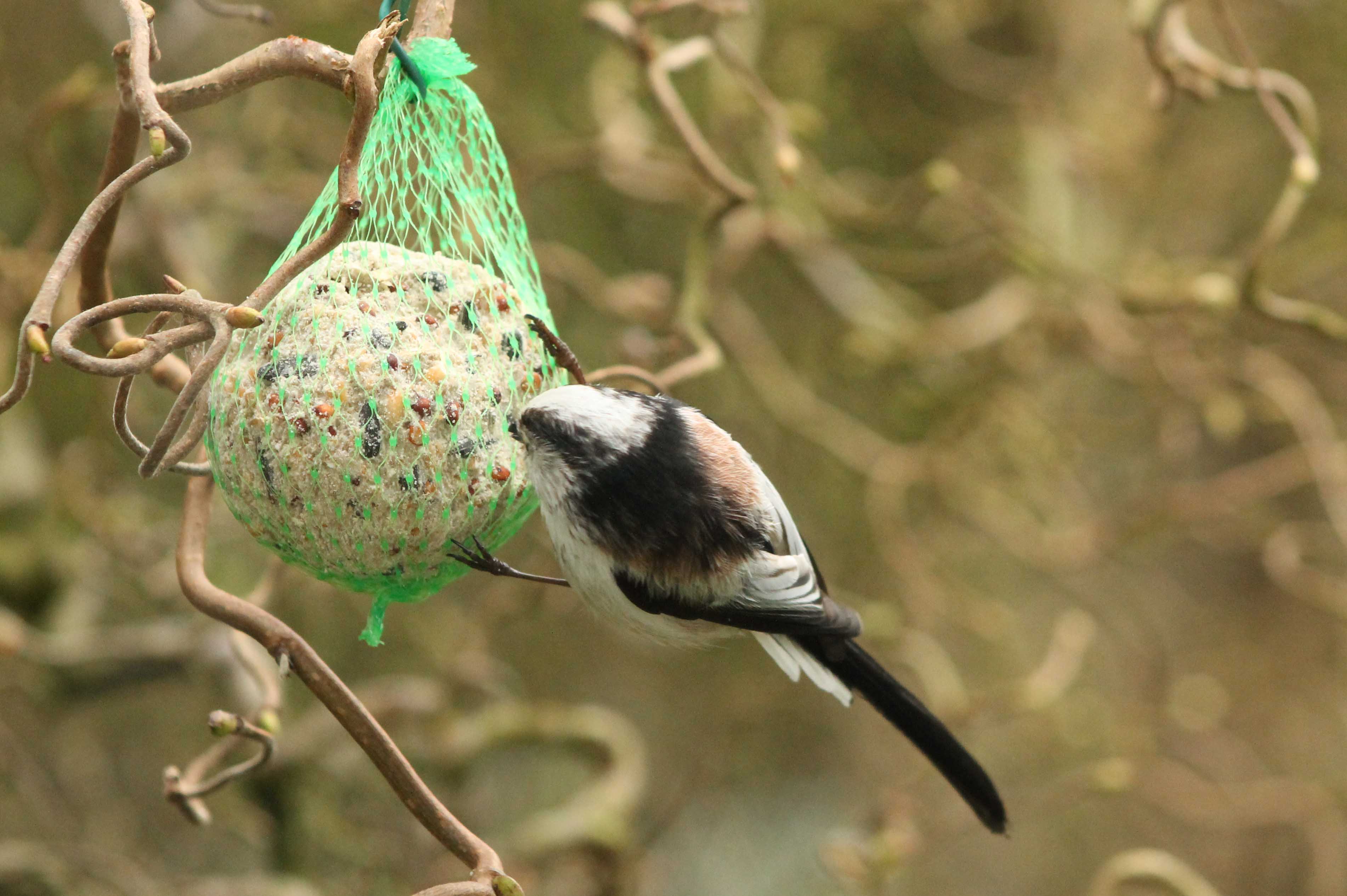 Ohh, alleen voor mij!