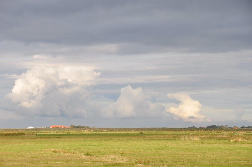 Texel
