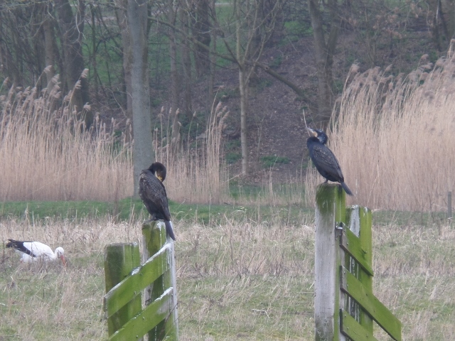 Eerste rang zitplaats!