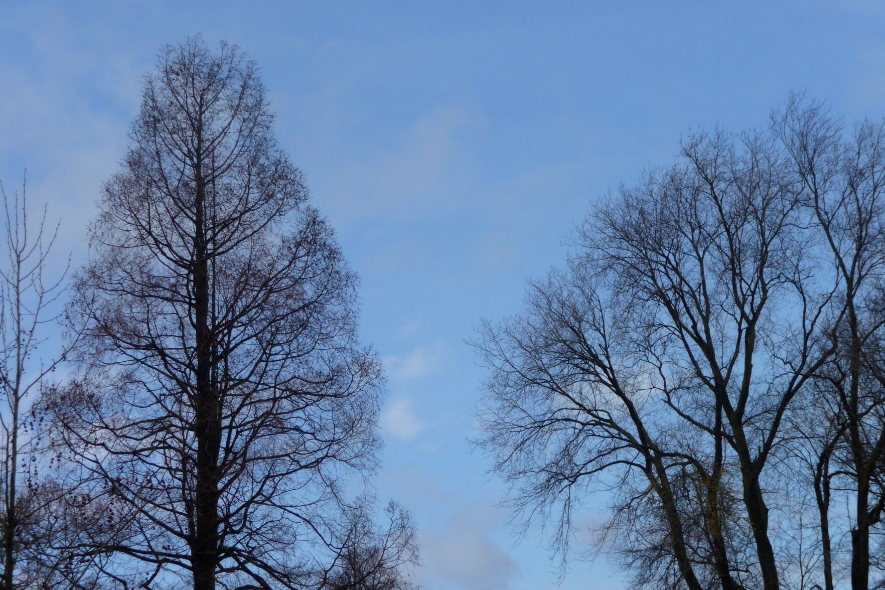 Met blauwe lucht