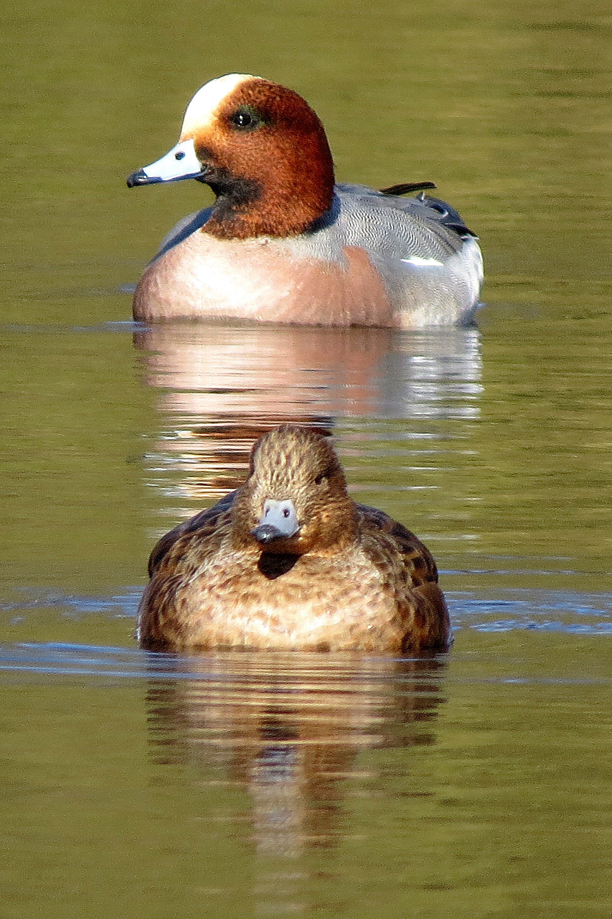 Mevrouw en meneer smient