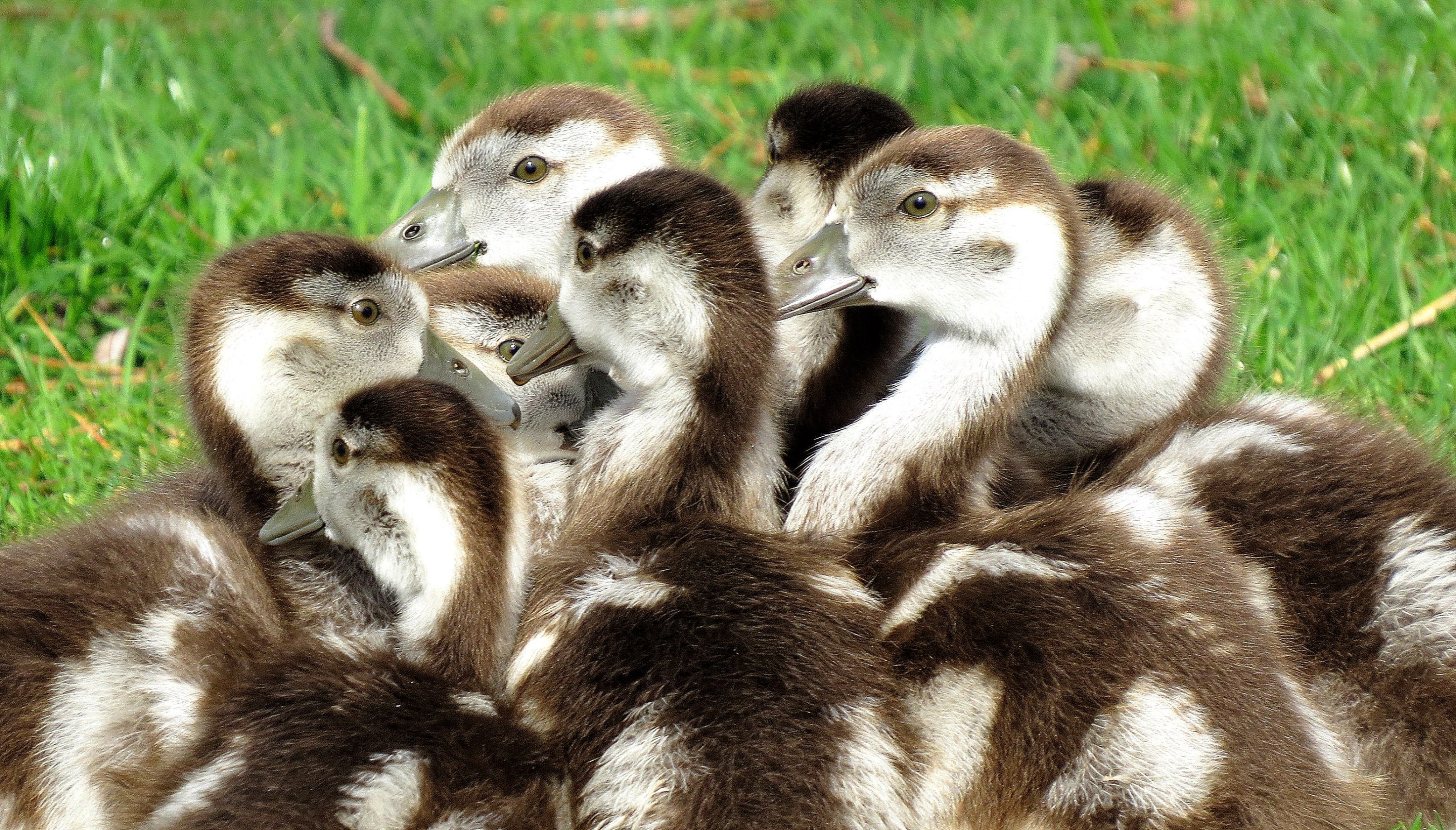 Allemaal weer wakker