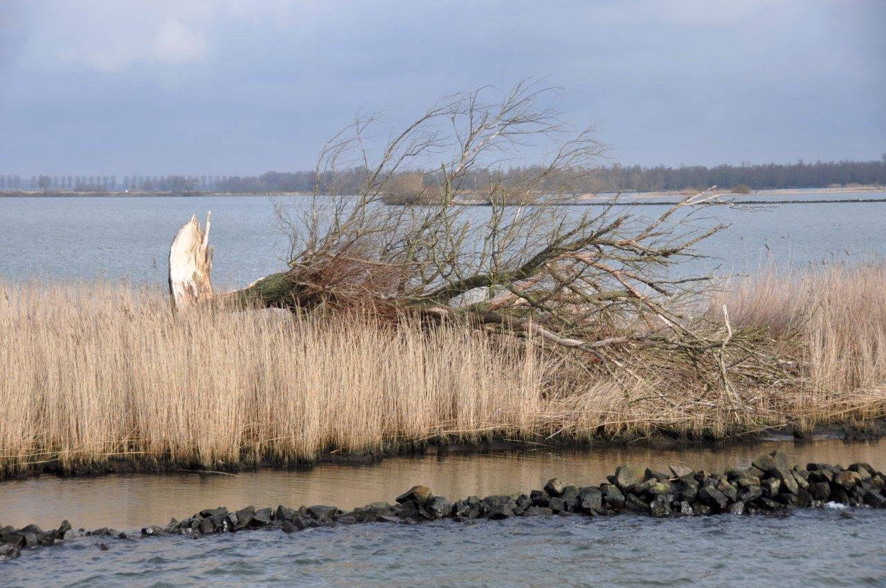 Stormschade