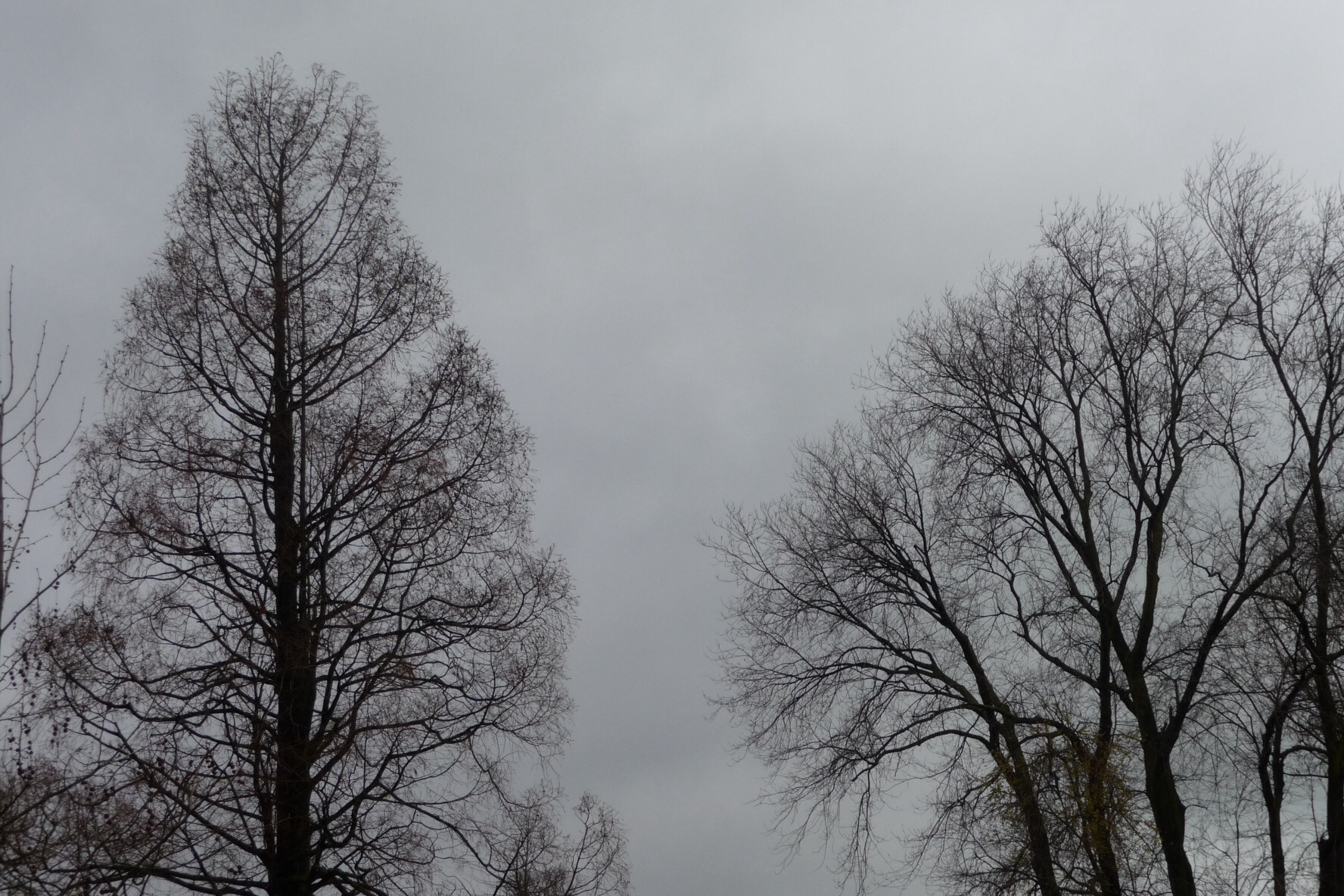 Slecht weer