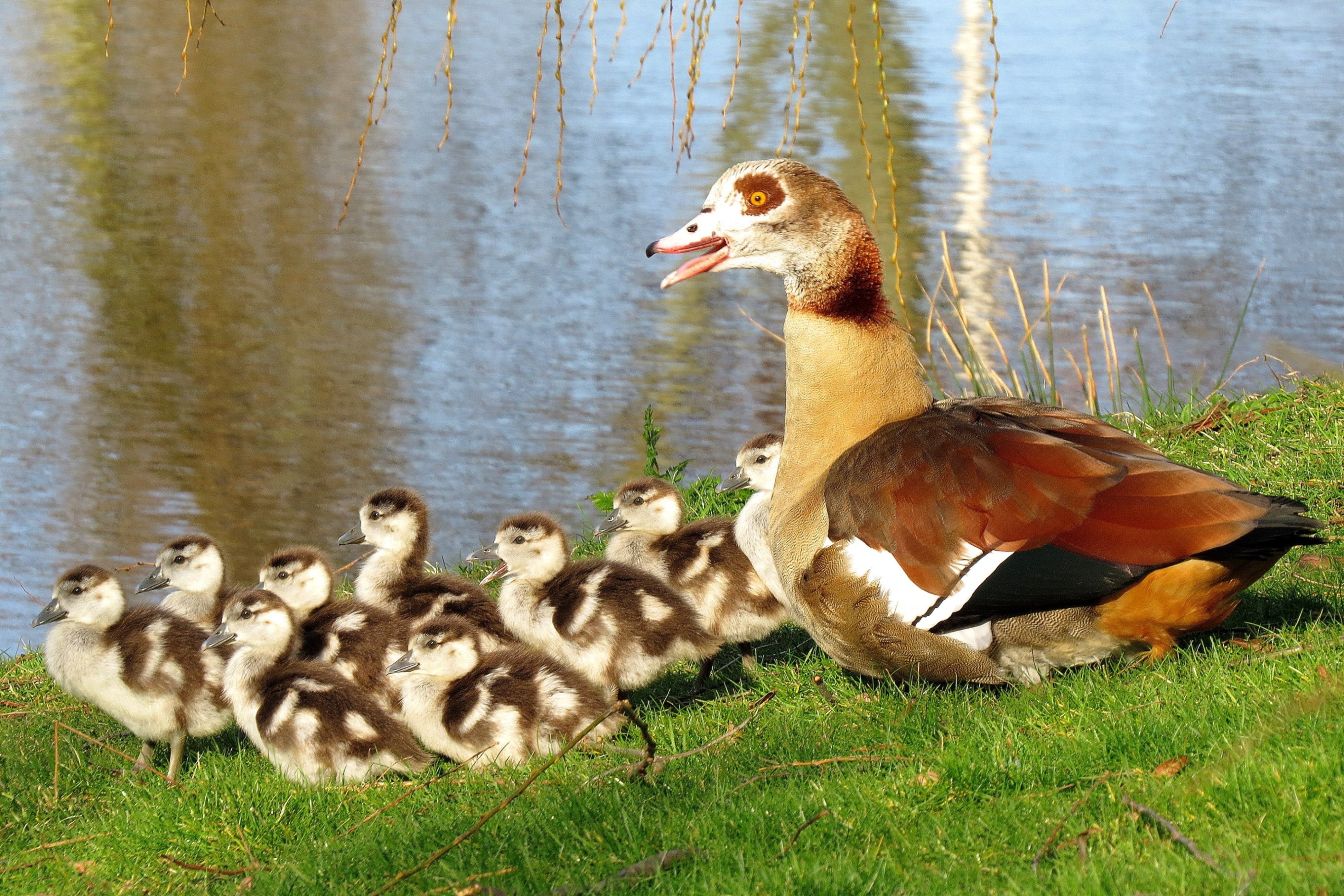 Allemaal naar links, kindertjes!