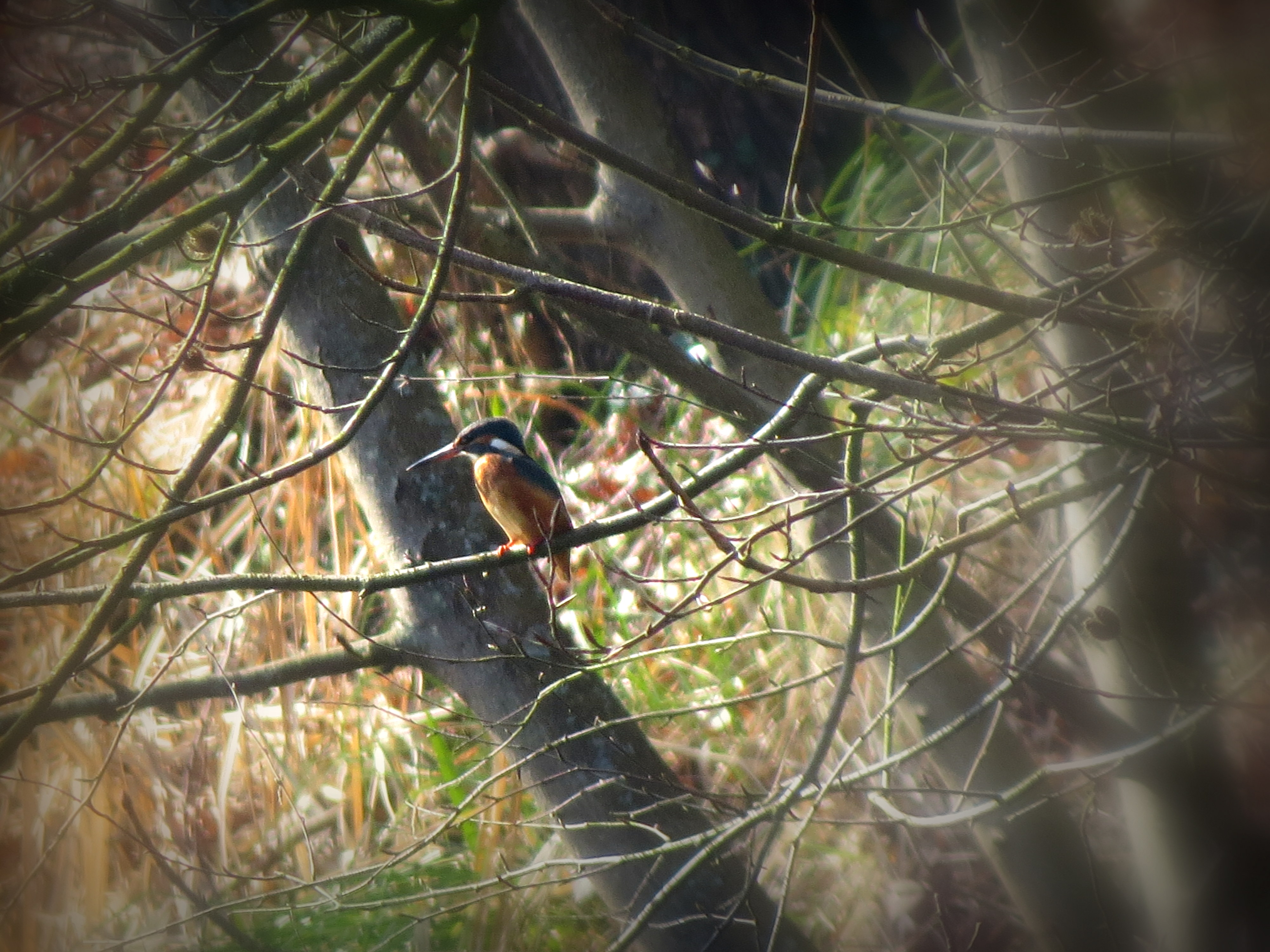 En wie hebben we daarrrr....
