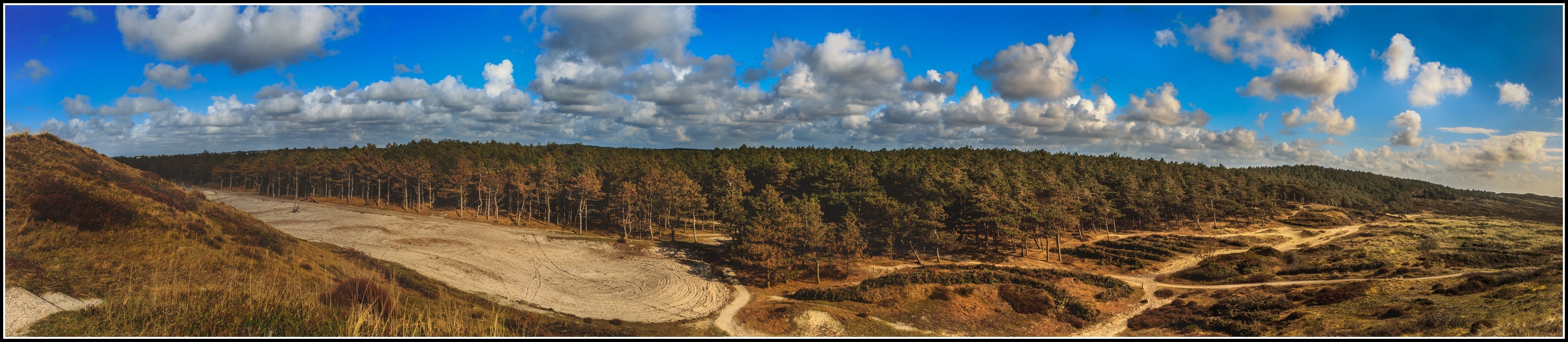 Panorama Bos Schoorl.