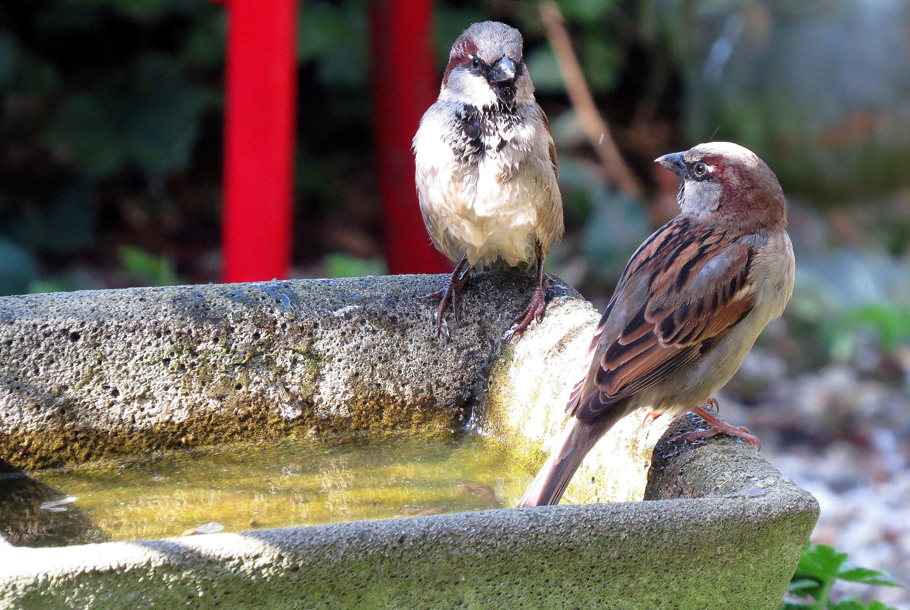 Ga jij eerst in bad of zal ik..?