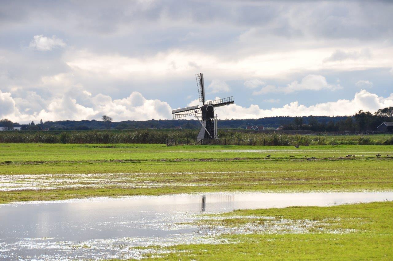 Molen