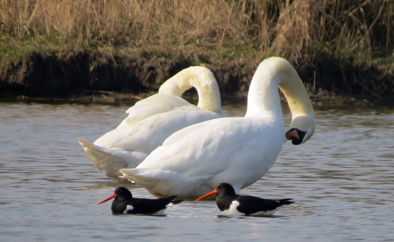 Ja, veel onderhoud voor die grote jongens