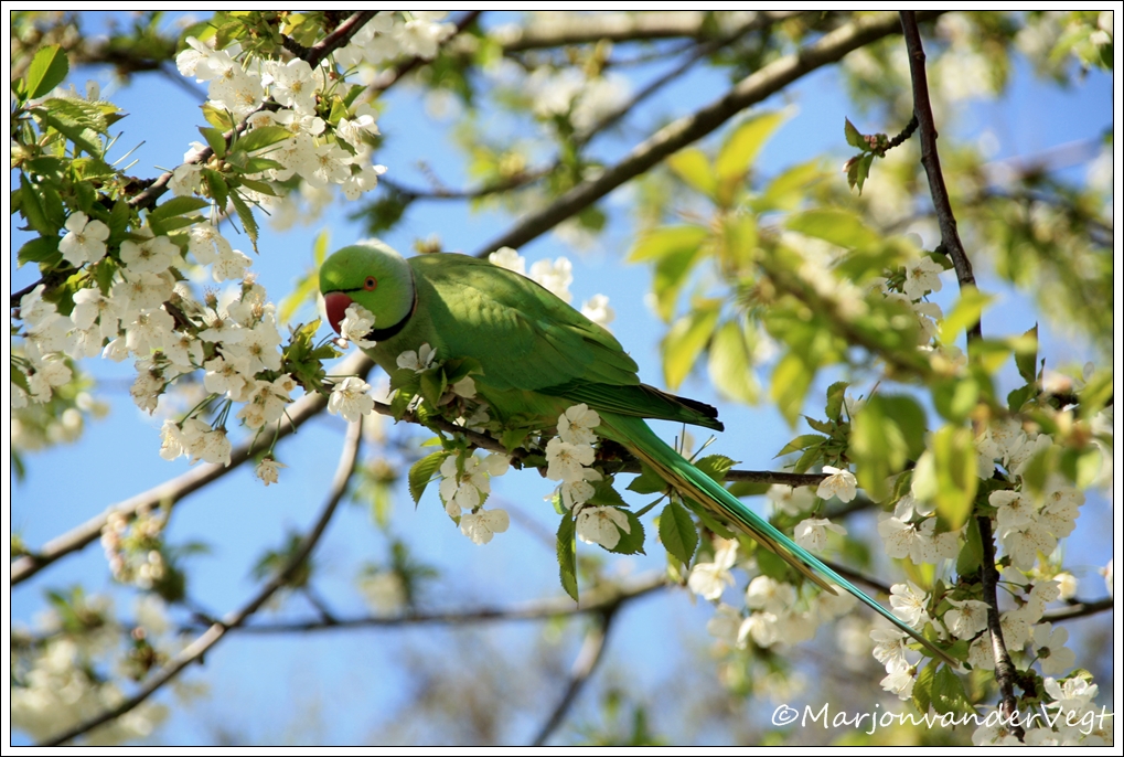Spring is in the air !