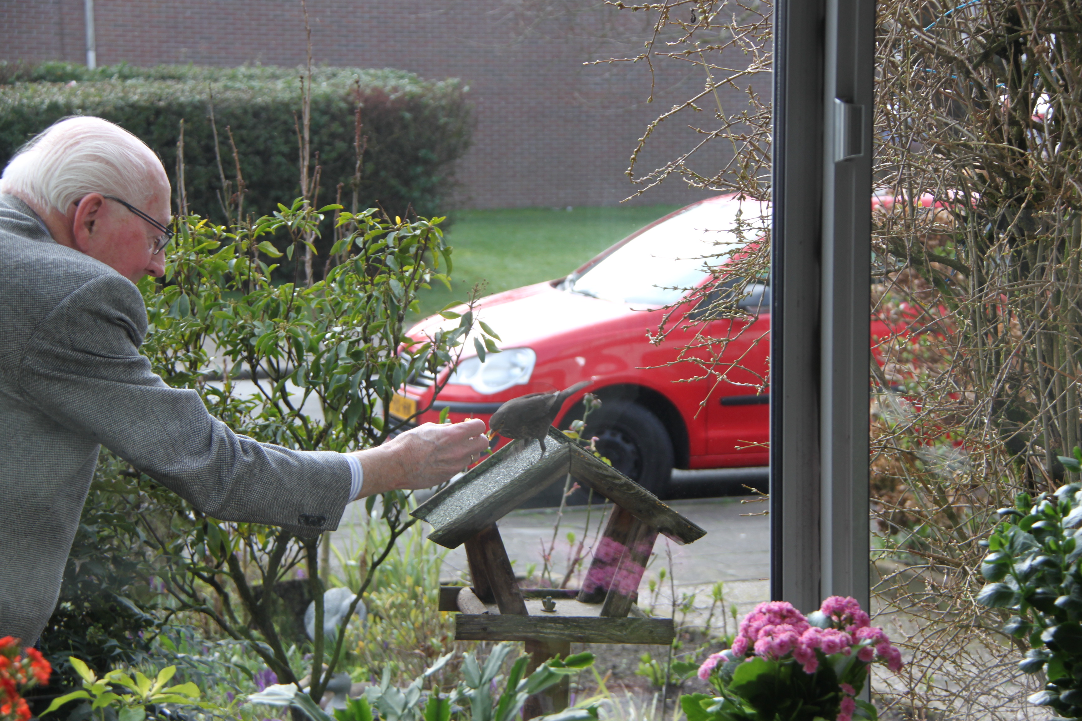 Merel eet uit de hand