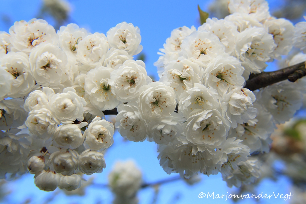 Fijne Pasen allemaal :D