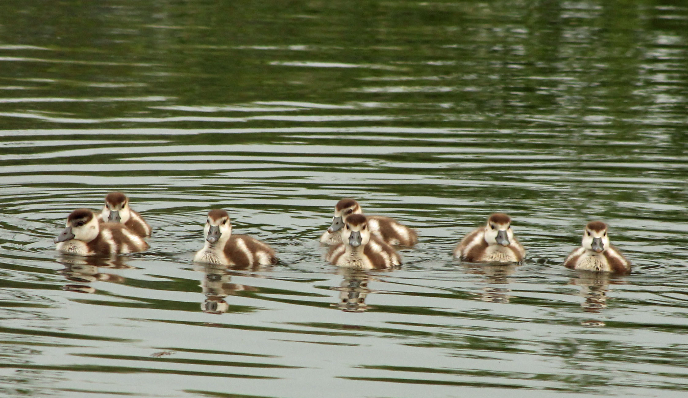 Hoe laat begint de les?