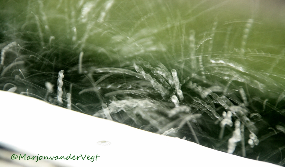 Regenbui boven de stad