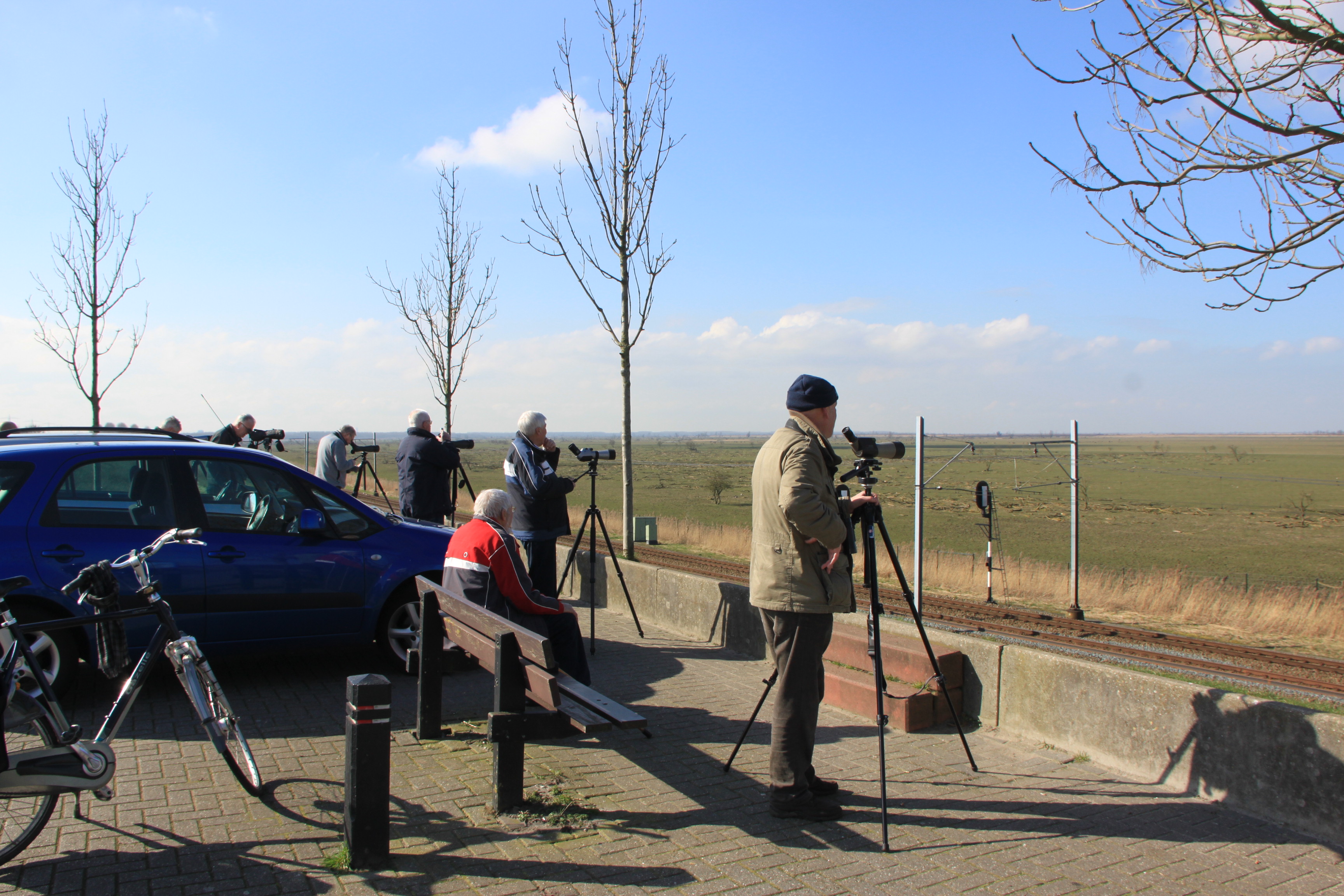 Vogelaars kijken naar Brandganzen