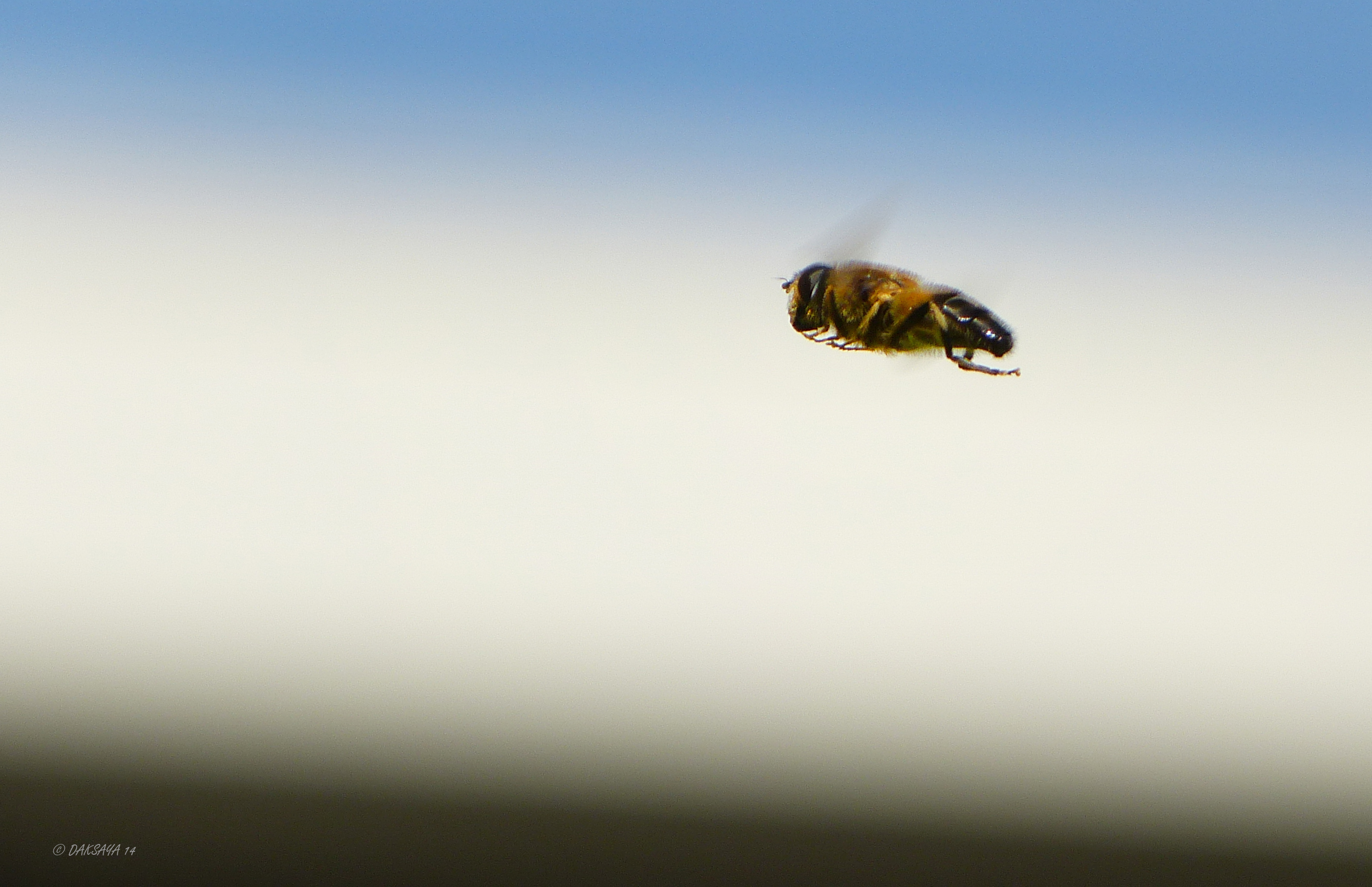 Flying high