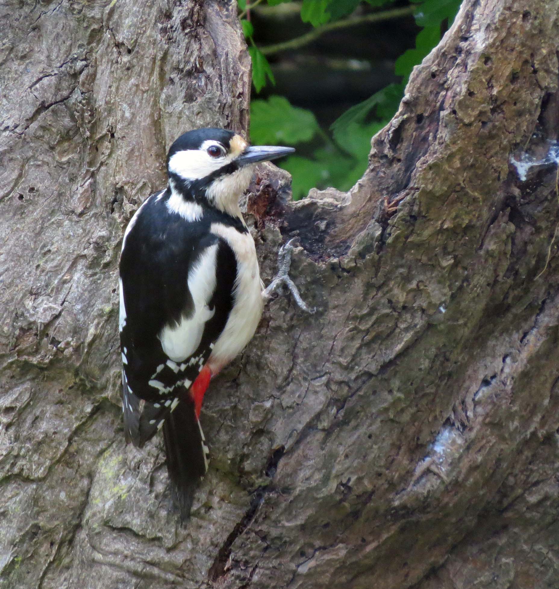 En ik gaf maar een klein tikje...