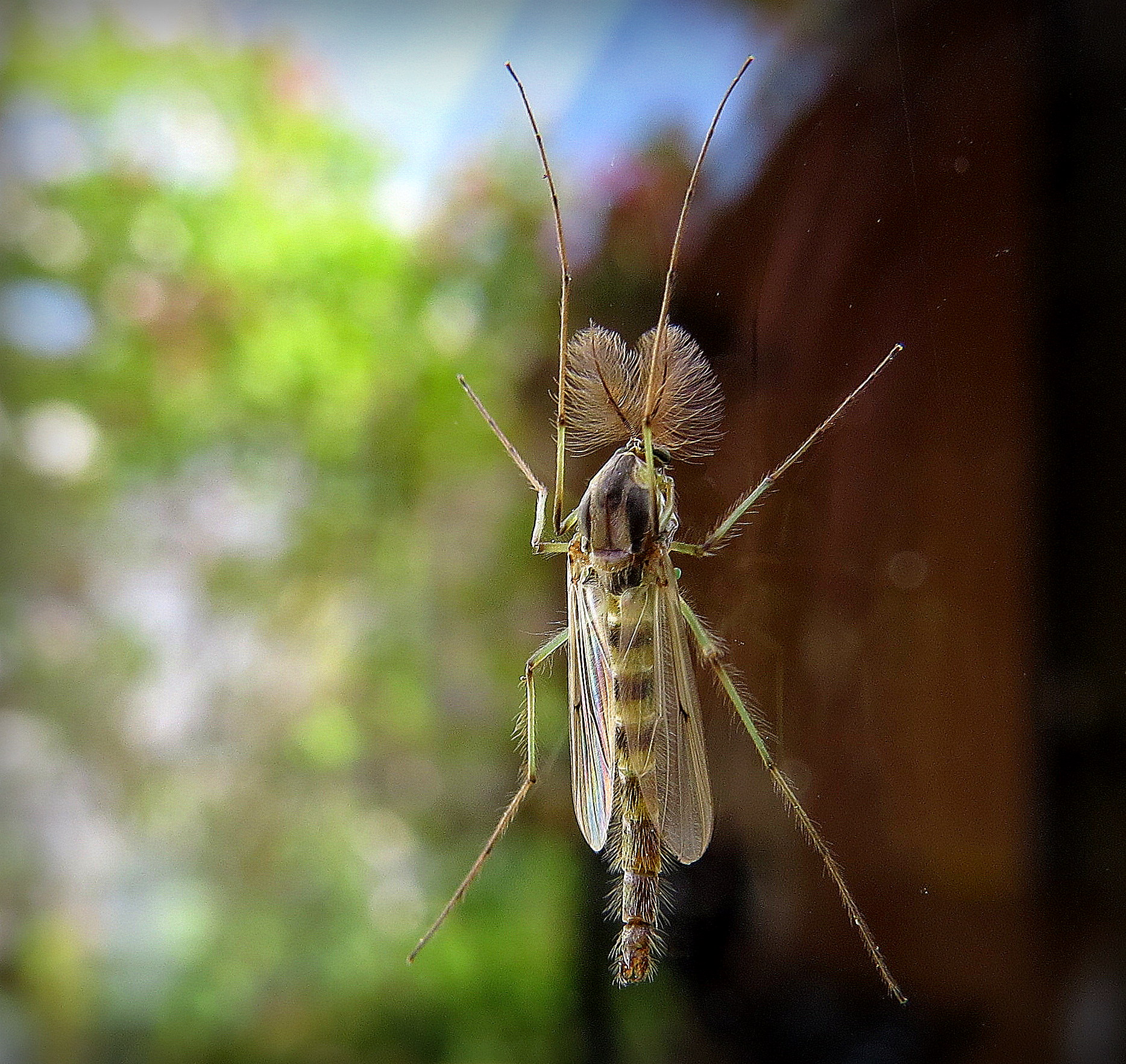 Klein, maar zo mooi!