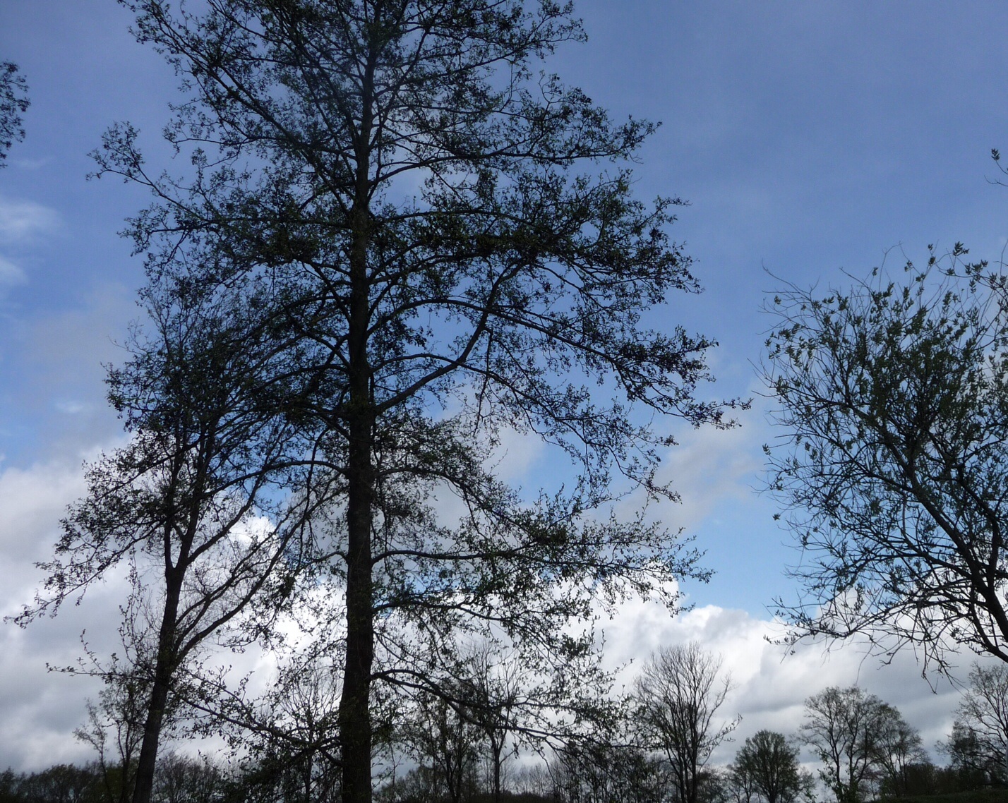 Toch nog blauwe lucht