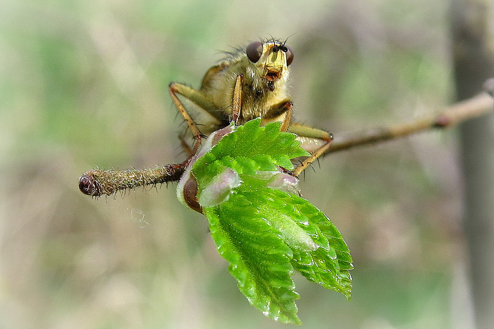 Je zal maar zo heten!