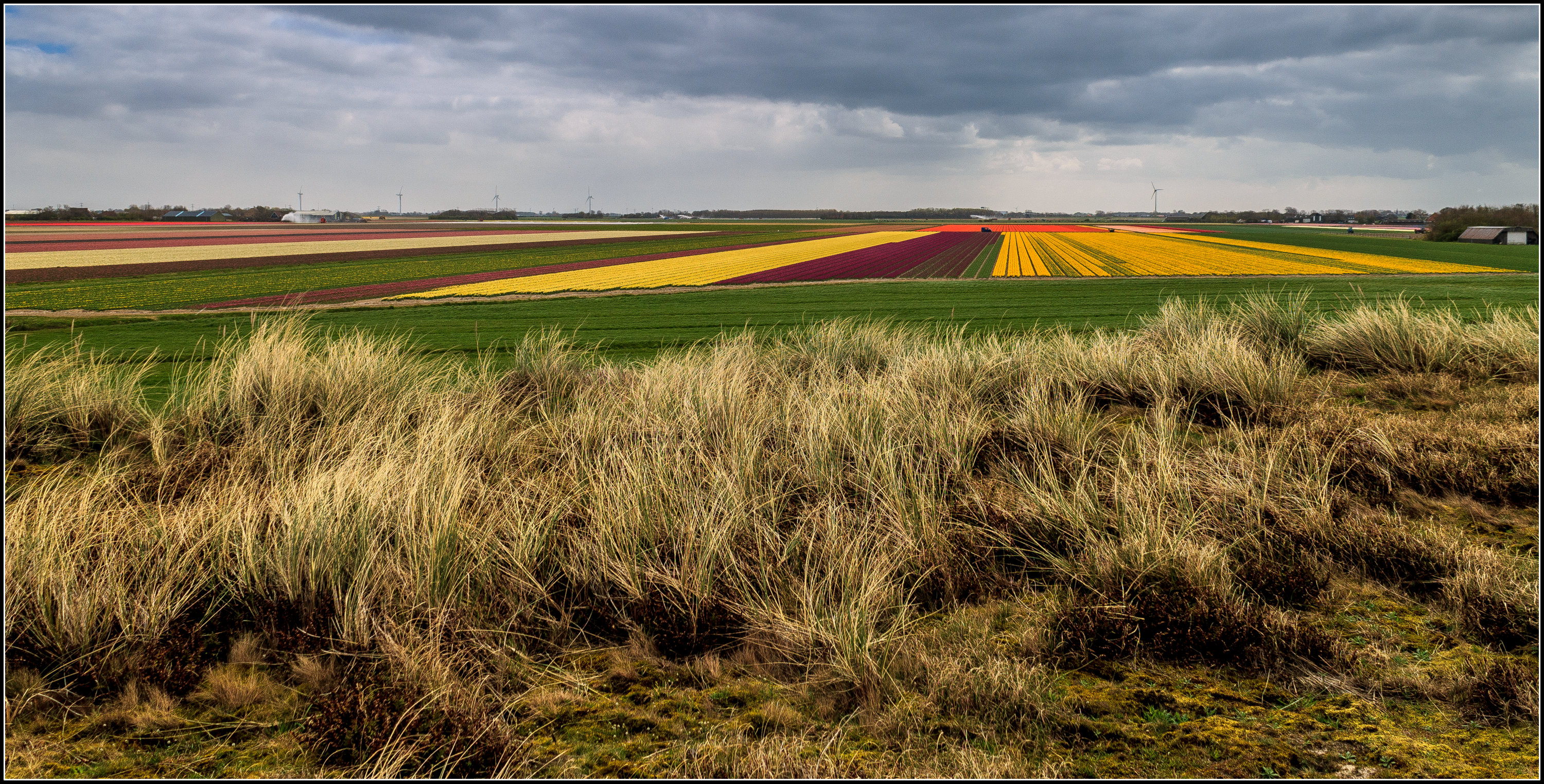 Bloeiend Zijpe (slot).