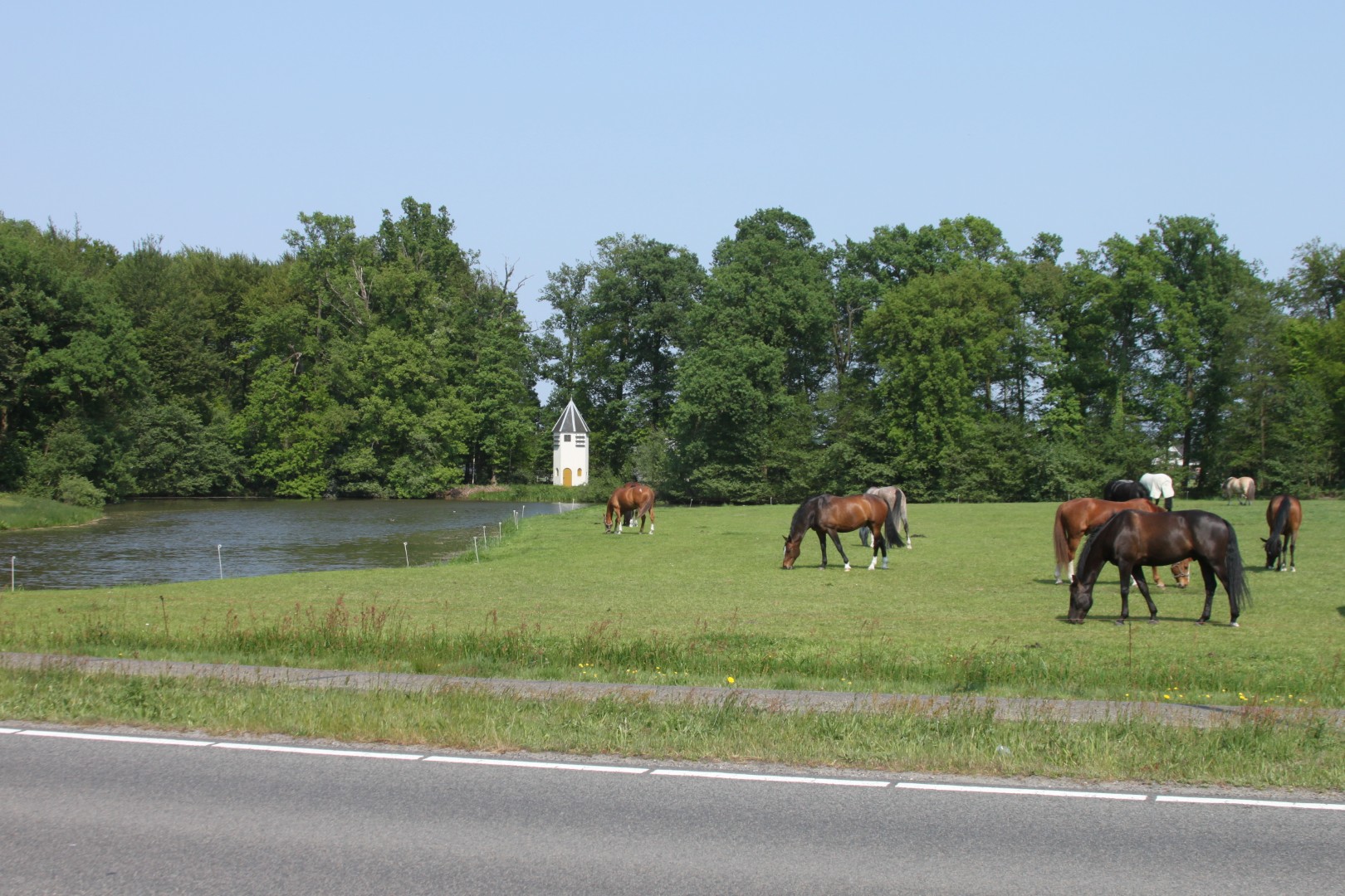 Paarden Heiligenbergerbeek