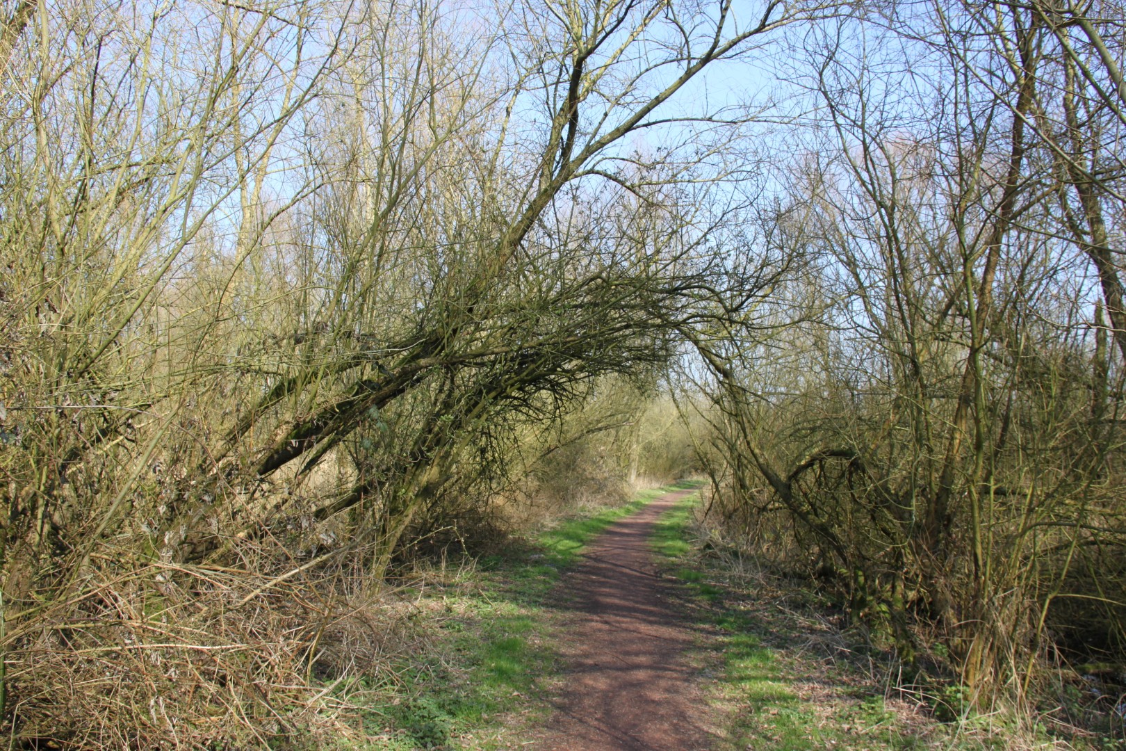 Wandelpad