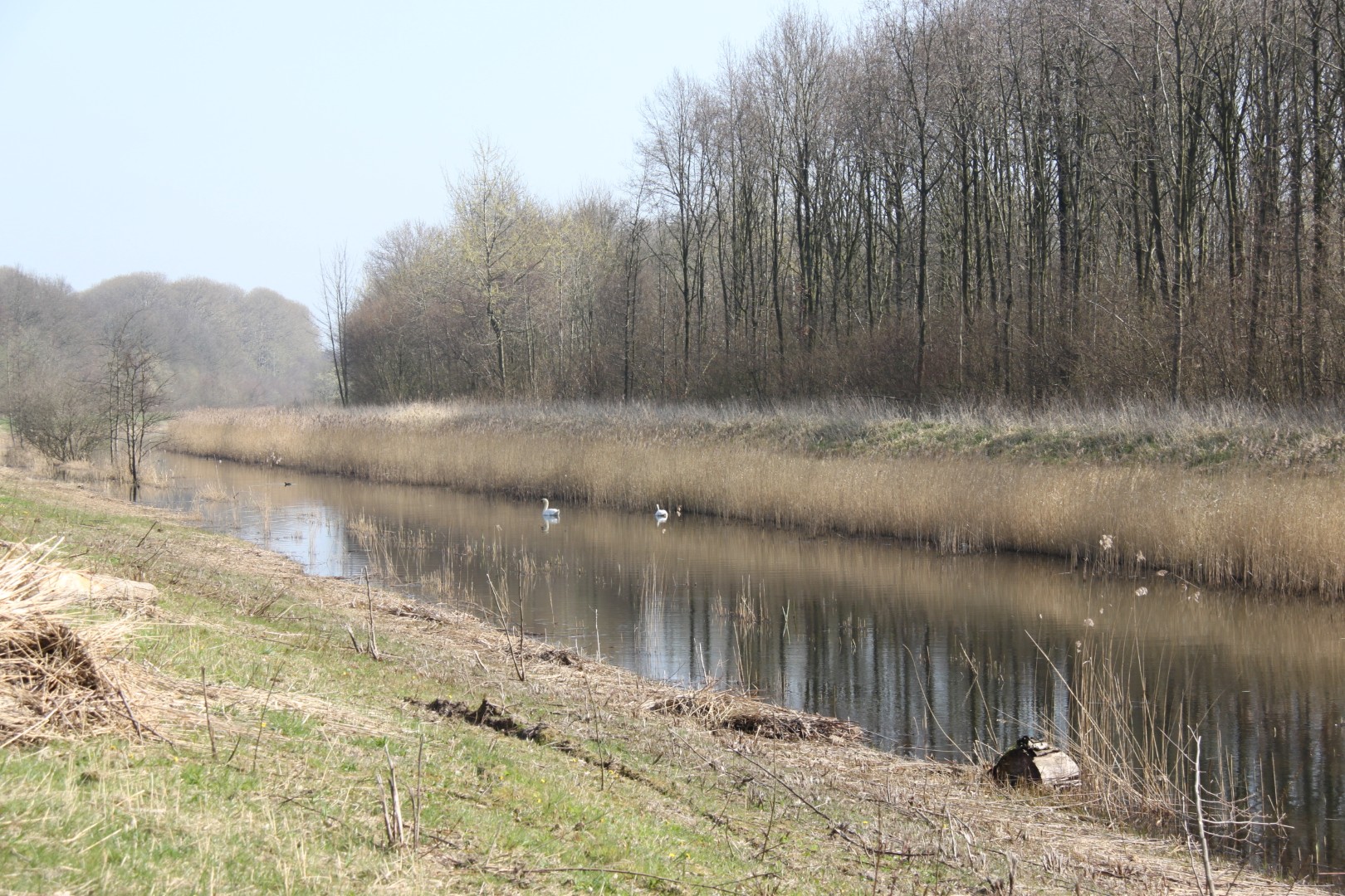 Kanaal