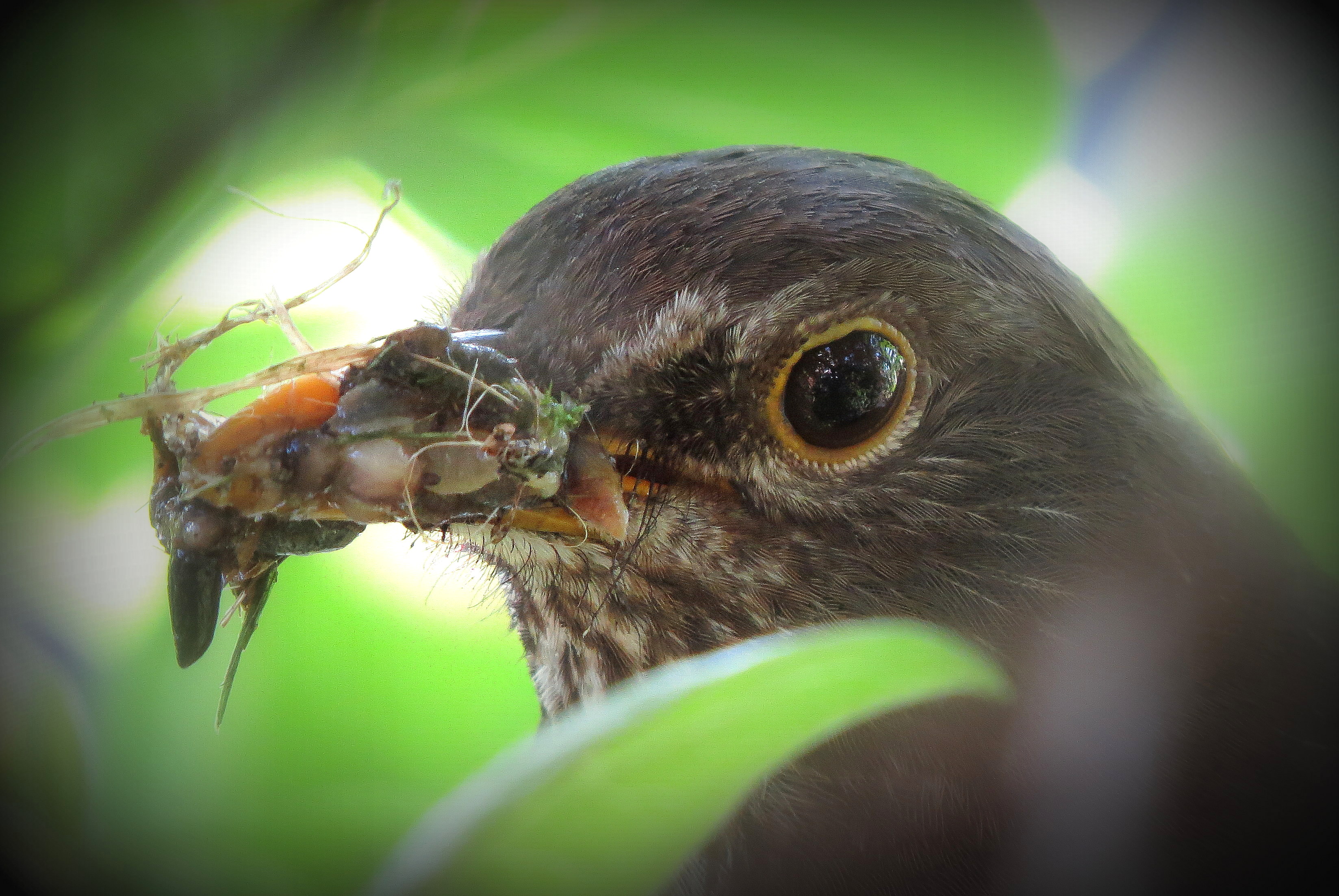 Dat wordt sssmmullen!!