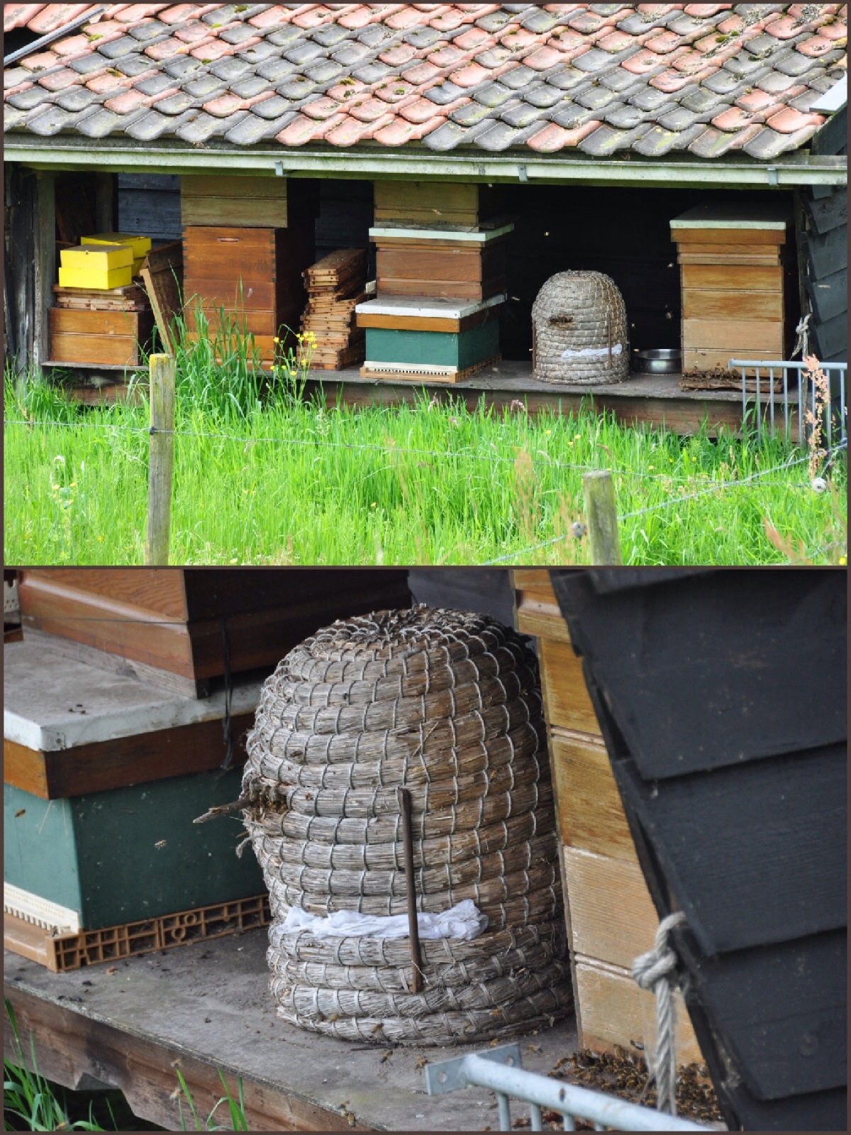 Bijenkasten en korven
