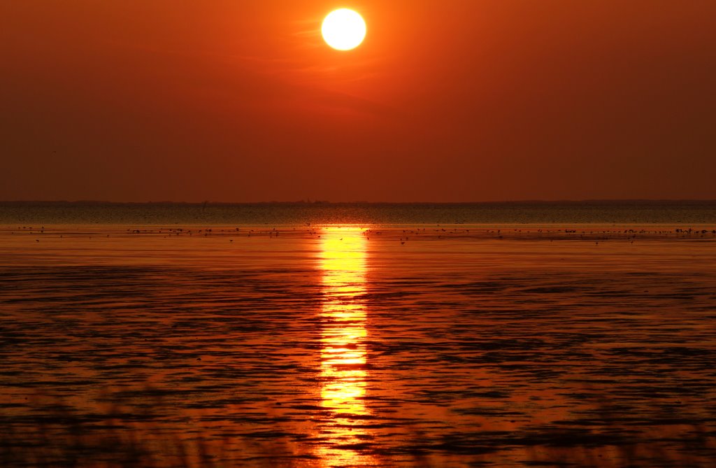 Mooi licht boven 't wad ...