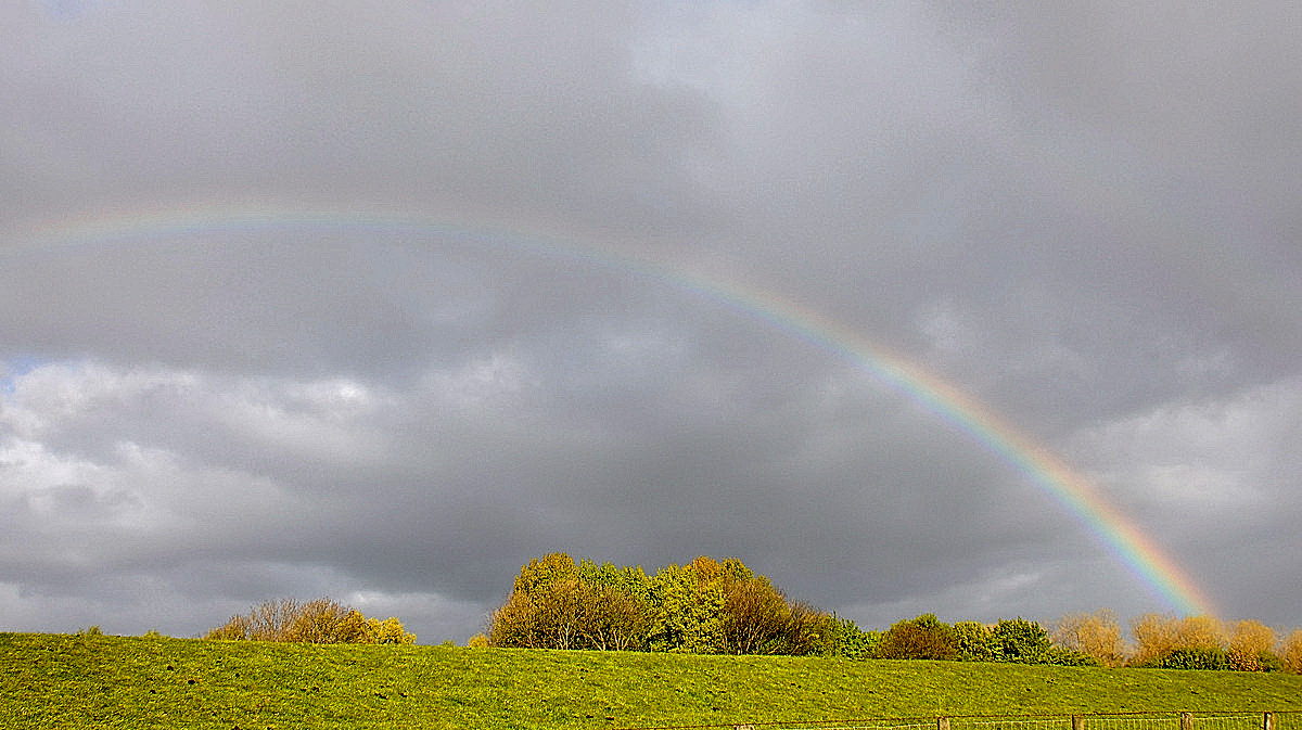 Regenboog.