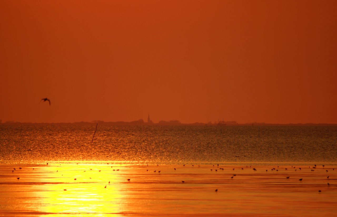 "t wad bij afondlicht 