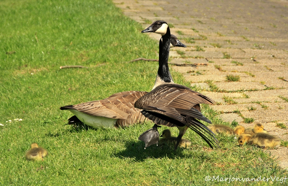 Rek & strek oefeningen