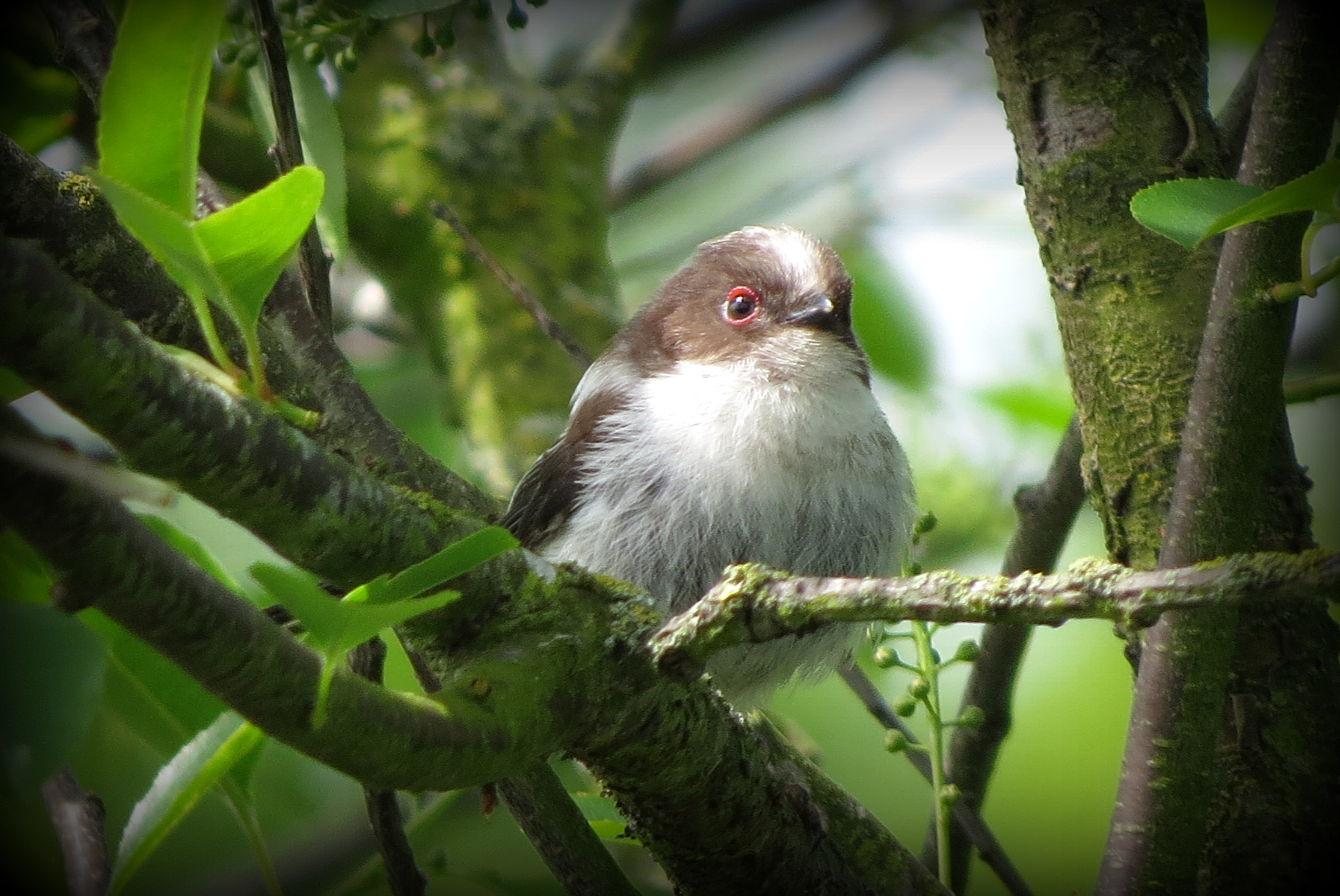 Wachten op een hapje