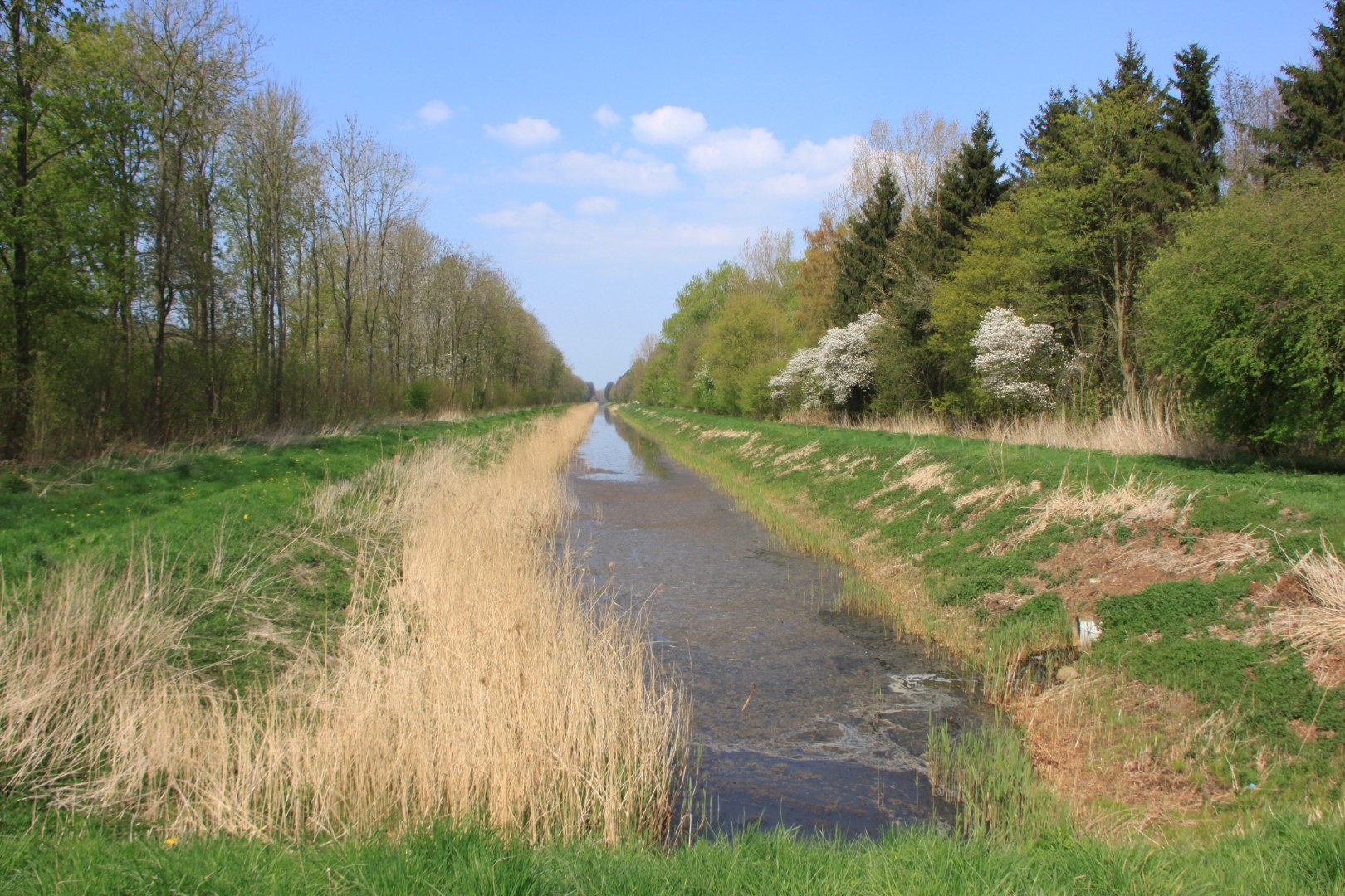 Kanaal Horsterwold