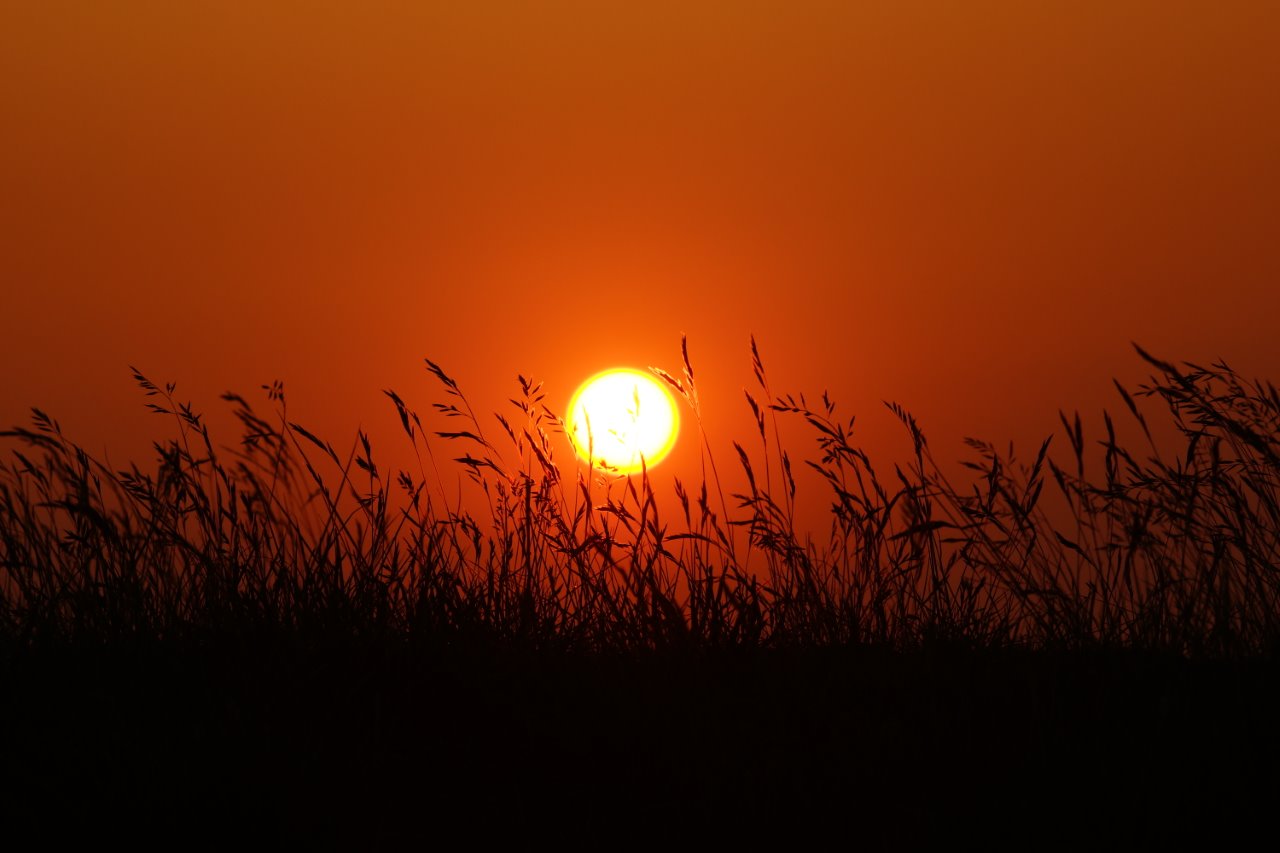 Langs de dijk van 't wad 
