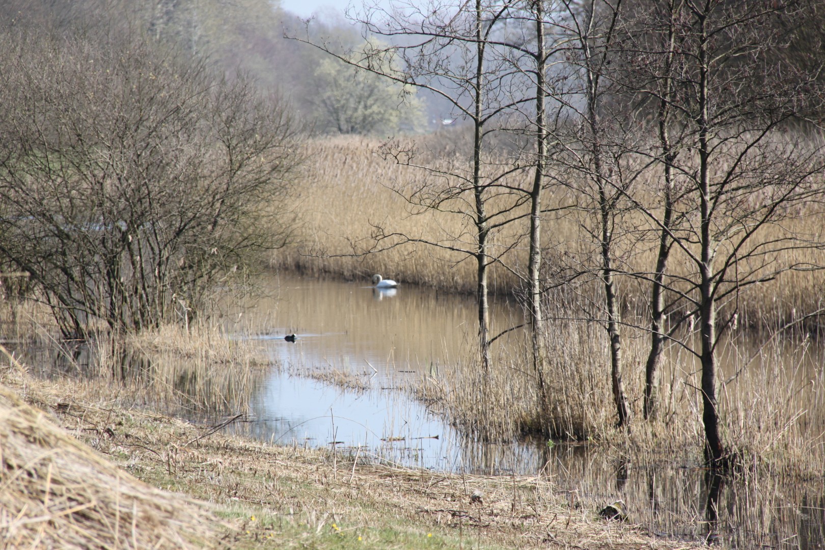 Kanaal