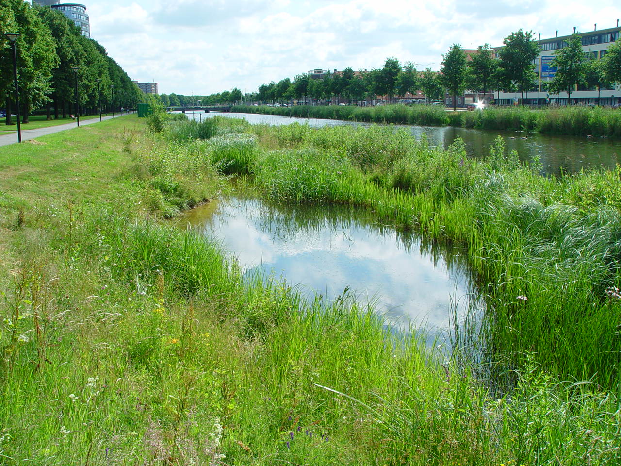 Valleikanaal