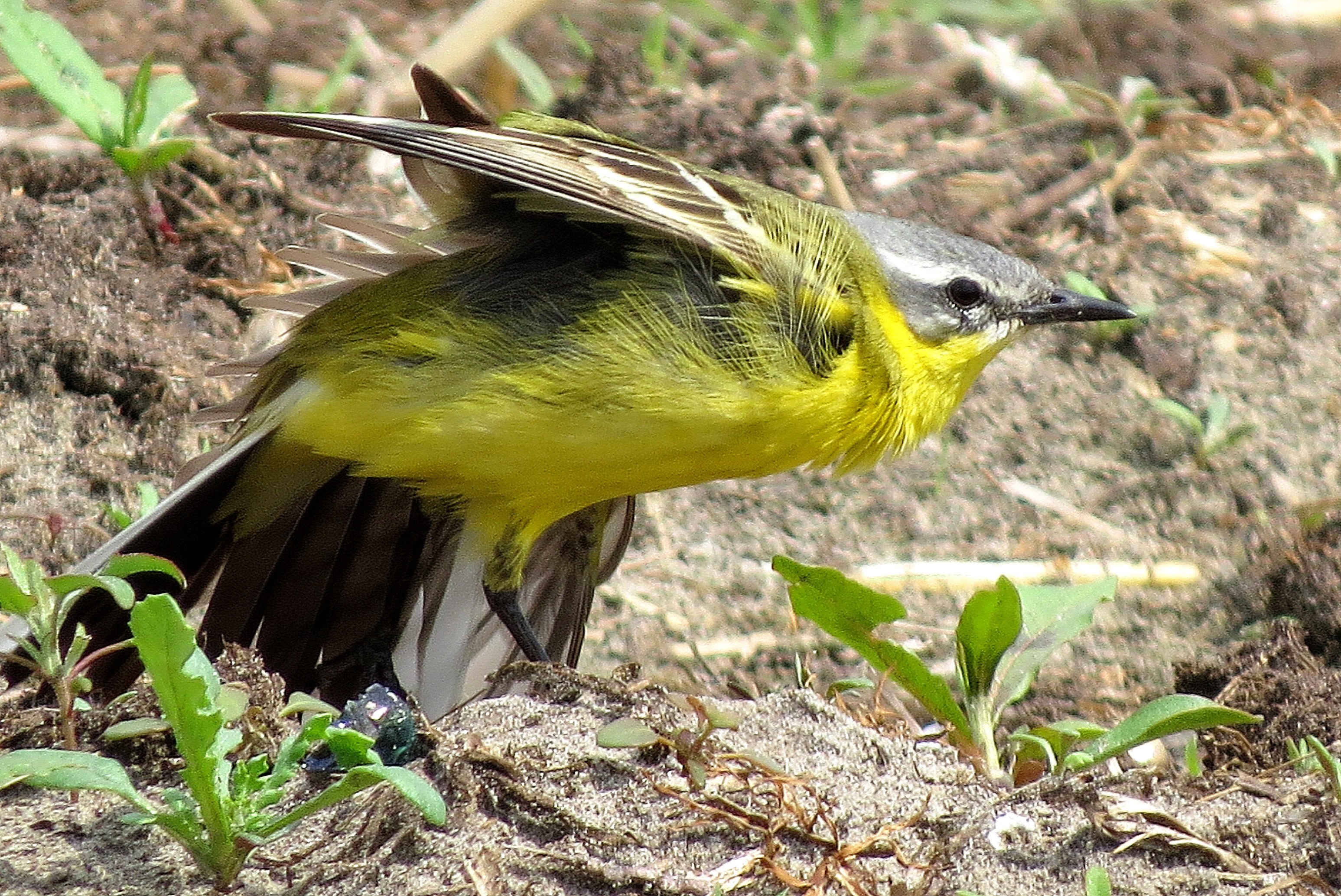 Rek en strekoefeningen
